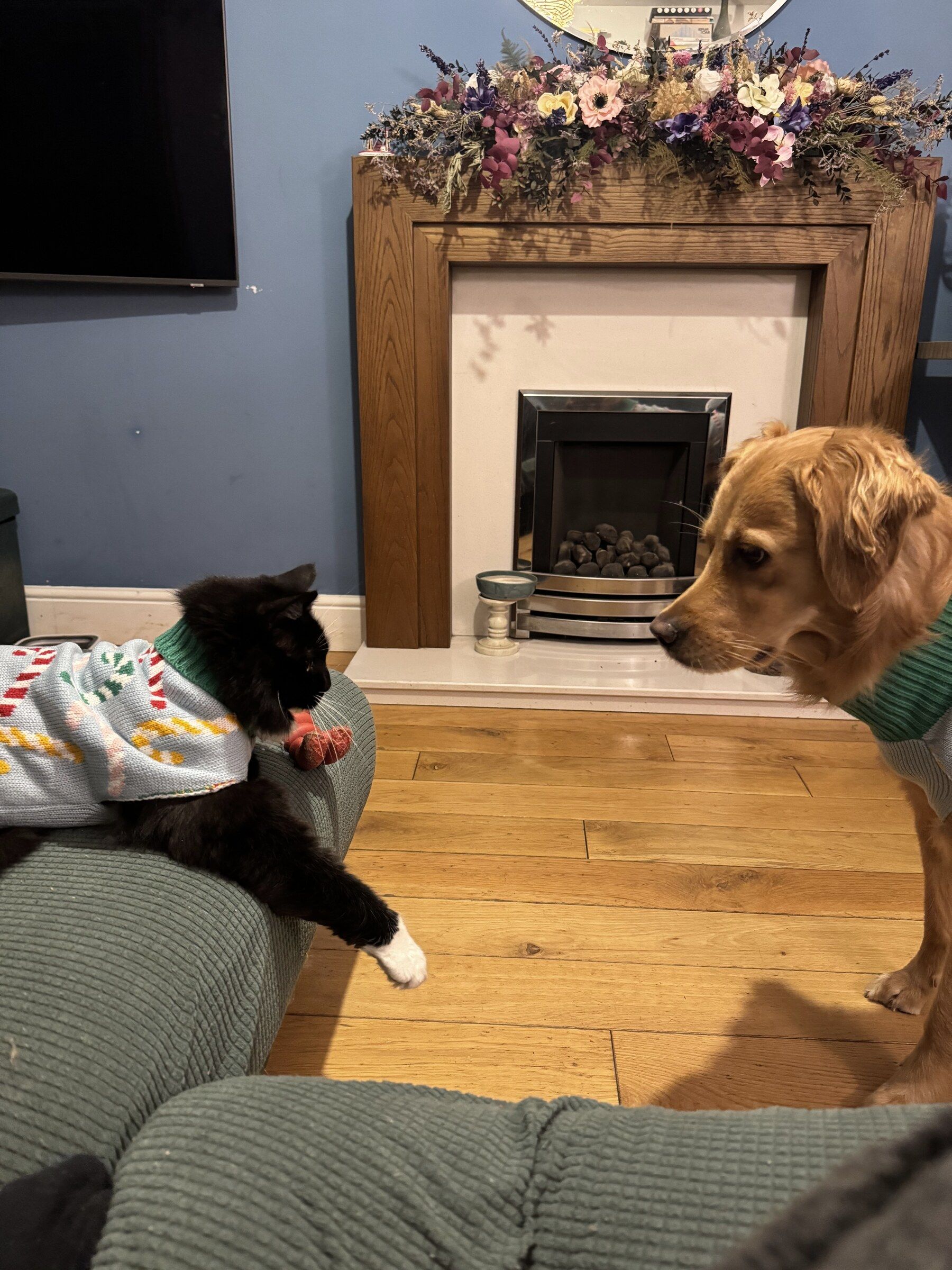 Skye and Charlie in a front room, by the fireplace